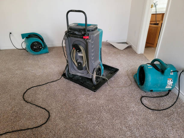 Best Water damage cleanup near me  in Marysville, PA