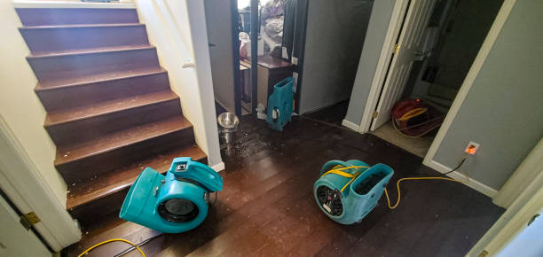 Best Sewage cleanup and water damage restoration  in Marysville, PA