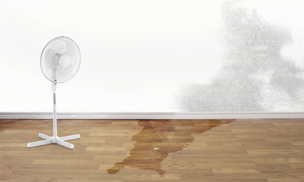 Best Commercial water damage restoration  in Marysville, PA