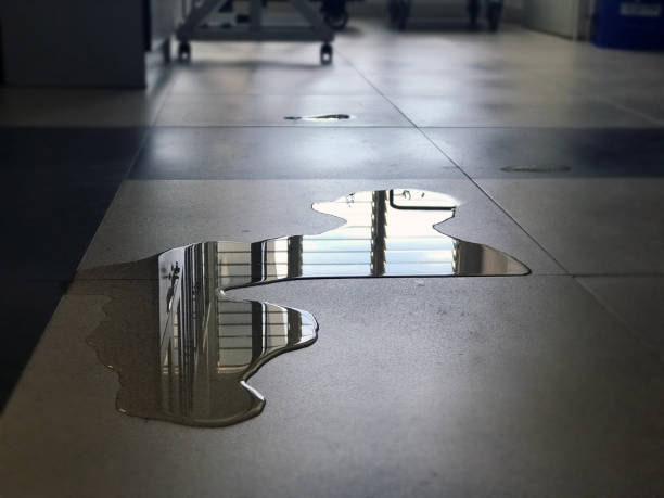 Best Water damage restoration experts  in Marysville, PA