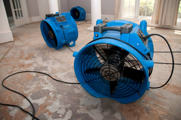 Water damage restoration mold remediation in Marysville, PA