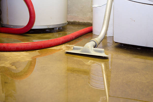 Best Flood restoration services  in Marysville, PA