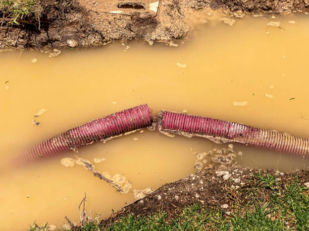 Best Water damage restoration cost  in Marysville, PA