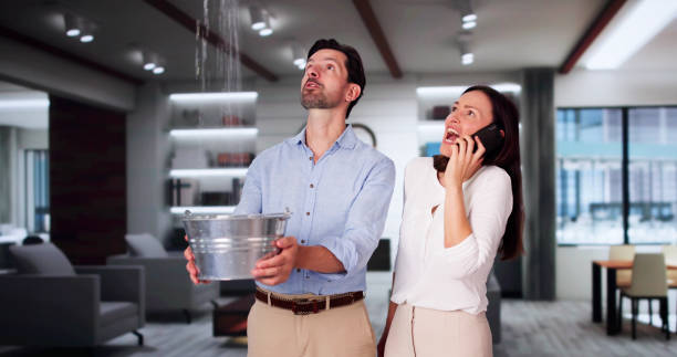 Best Flooded house restoration  in Marysville, PA