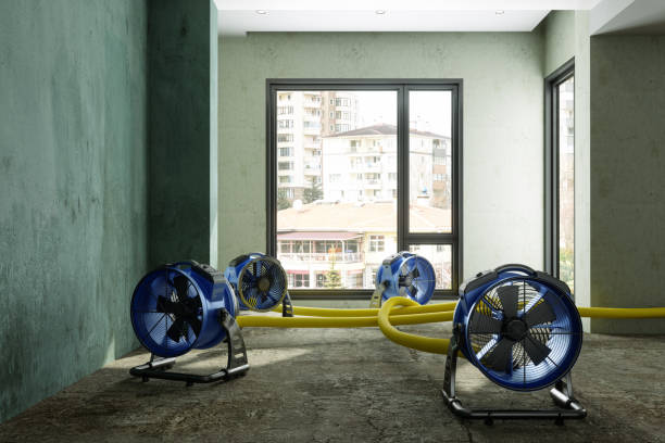 Best Water damage restoration company  in Marysville, PA