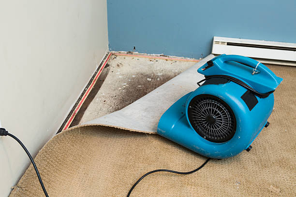  Marysville, PA Water damage restoration Pros